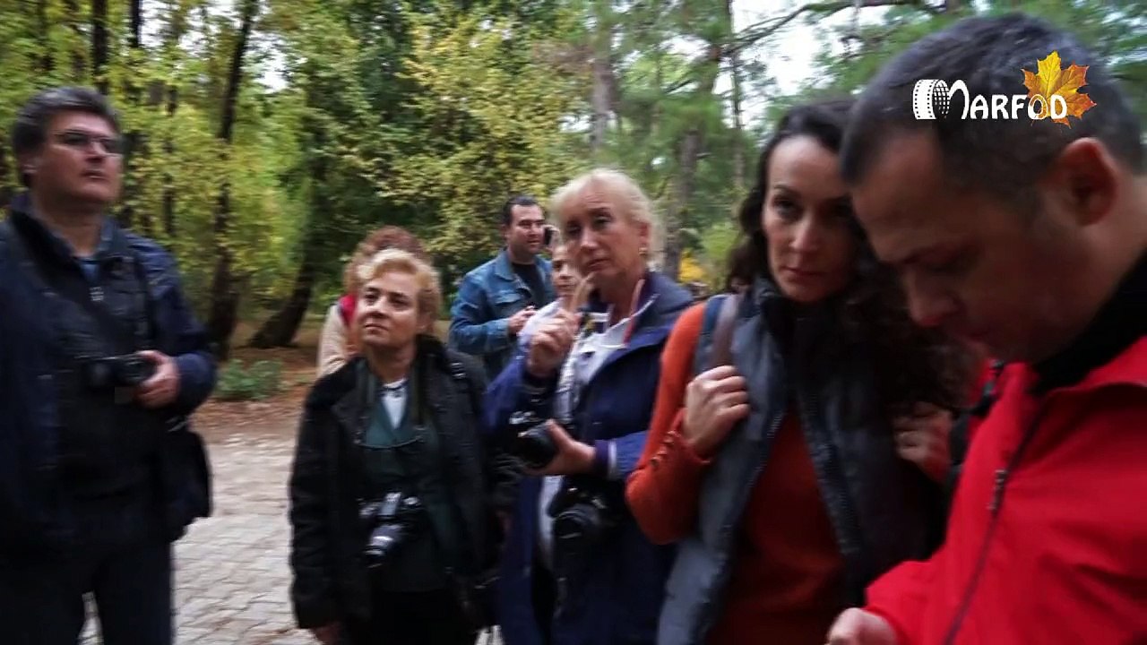 Sony FF Makina Tanıtımı