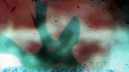 Adele - Skyfall (Lyric Video)_2