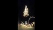 Awesome Lighting Decoration On This Tree - Christmas lights