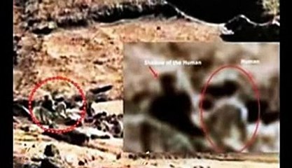 TOP 5 Mysterious Creatures Caught By NASA On Mars_2