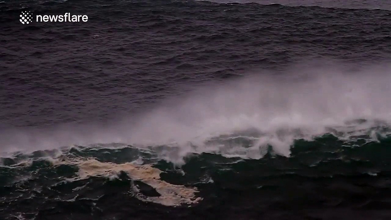 Surfers ride huge Christmas waves in Portugal