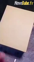 Voici ton cadeau de Noël.