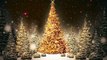 Snowflakes Falling Christmas Trees Motion Graphic Video Loop.