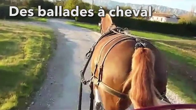 Manque de neige? La montagne a d'autres idées que le ski à vous proposer