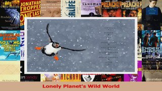 PDF Download  Lonely Planets Wild World PDF Full Ebook