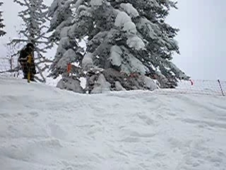 Saut par dessus un filet