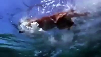 This will make you smile