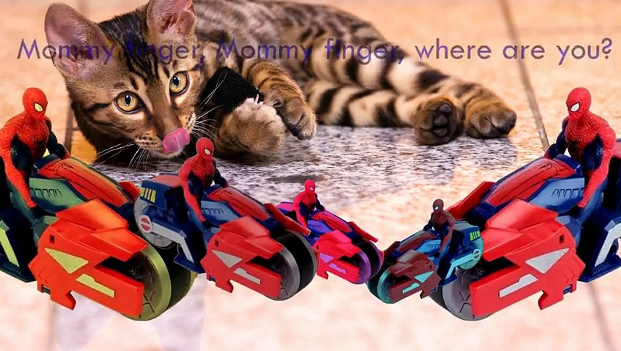 Spiderman Black Spiderman And Blue Spiderman Cartoons Singing Finger Family Children Nurse