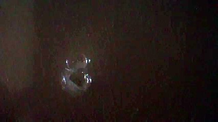 worst bubble gum POP!