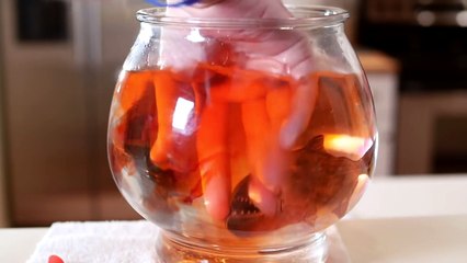 Piranha Attack Incident 🐟