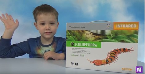 Гигантская сороконожка на инфракрасном управлении распаковка игрушки giant toy Scolopendra