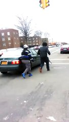 Cat takes on Pitbull! Animal fight in the projects