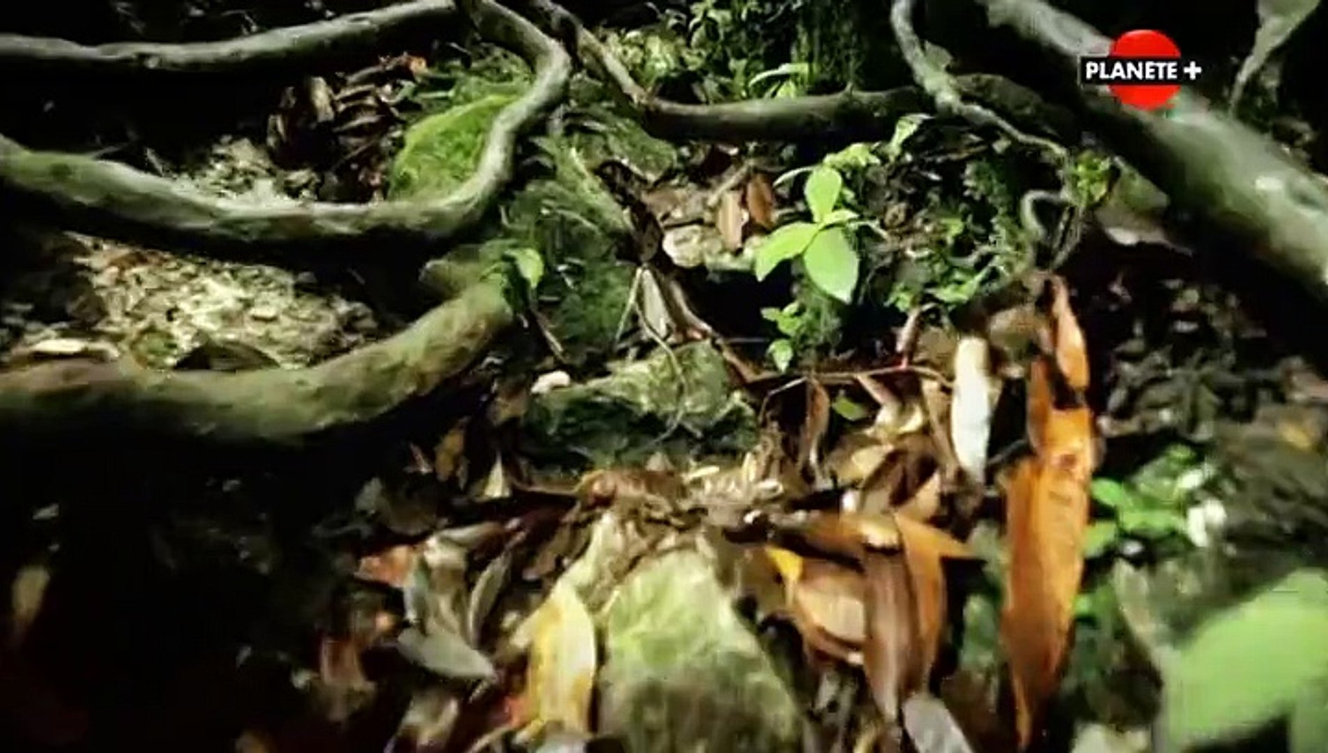 Lor Perdu De La Seconde Guerre Mondiale Saison 3