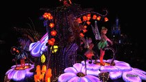 東京ディズニーランド・エレクトリカルパレード・ドリームライツ/Nighttime Parade Tokyo Disneyland Electrical Parade Dreamlights