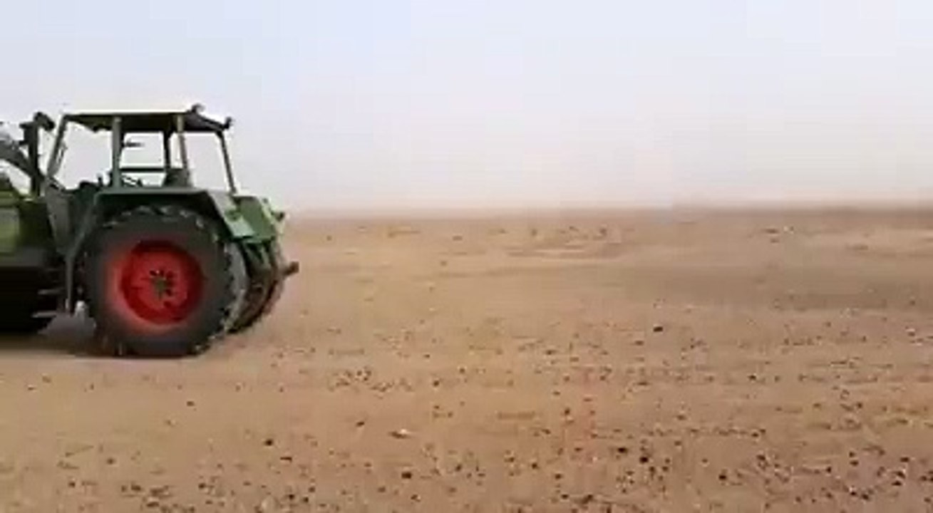 crazy people