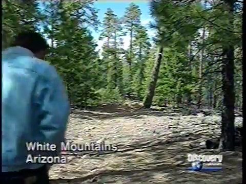 UFO - Enigmáticas Esferas de Luz (1999)HD