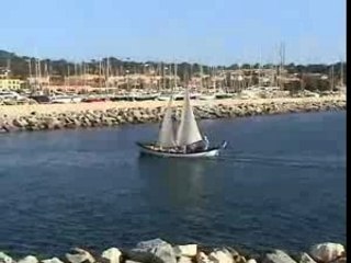 BALEINIERE SOUS VOILE