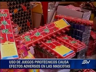 El daño que provoca la pirotecnia en las mascotas