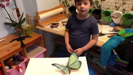 3 Boyutlu Kelebek Çizimi Karşısında Şaşkınlığını Gizleyemeyen Ufaklık