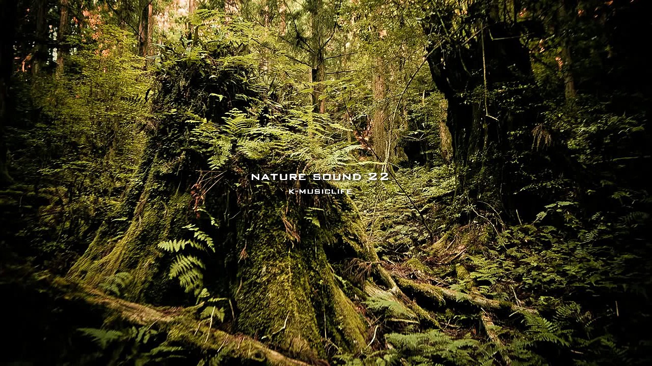 Nature Sound 22 - SINGING INSECTS / THE MOST RELAXING SOUNDS -