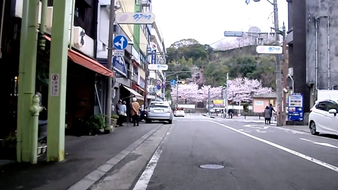 危険　瞬間　堂々信号無視　紅葉マーク５０－３４