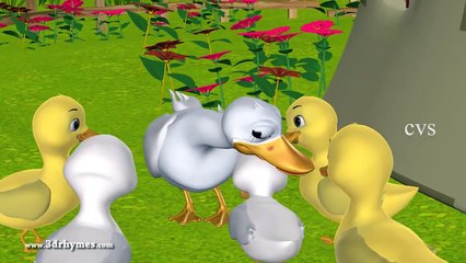 Five Little Ducks went out one day 3D Animation English Nursery Rhymes for Children