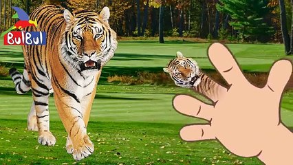 Finger Family Collection 199 _Christmas Minions-Spiderman-Animal-Minions Finger Family Nursery Rhyme , 2016