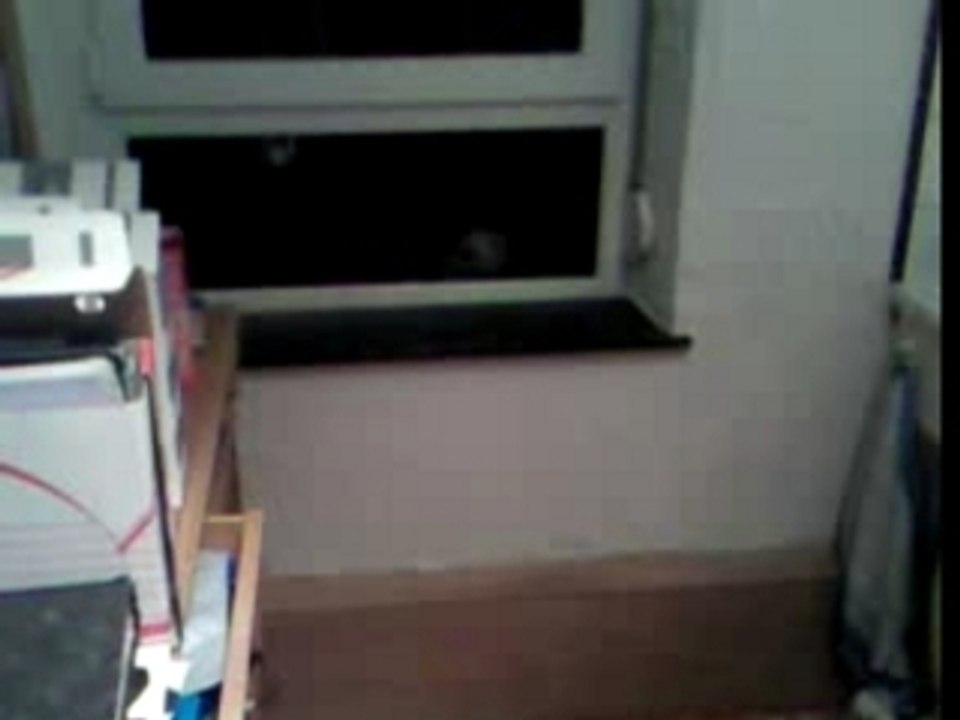 Rencontre avec un pigeon