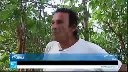 LifeStyle - Alone in an isolated island