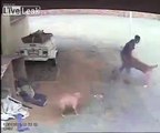 Dog Attacks Intruder Burglar