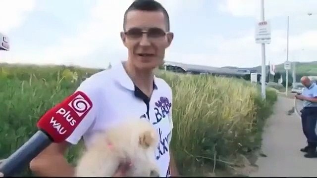 Моя вера в человечество восстановлена! Это невозможно мило