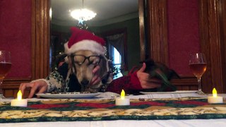 O'Reilly's dogs Christmas dinner