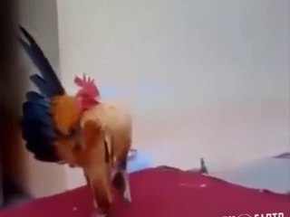 Allah Ki Qudrat Ka Karishma