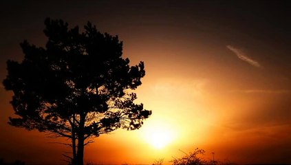 Allah apne bando ko akela kabhi nahi chodte by peer zulfiqar ahmad naqshbandi (480p)