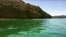 A pod of orcas in the Bay of Islands have given two French tourists a holiday to remember after they swam near and then