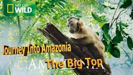 Journey into Amazonia 3of3 The Big Top ( Nat Geo WILD )