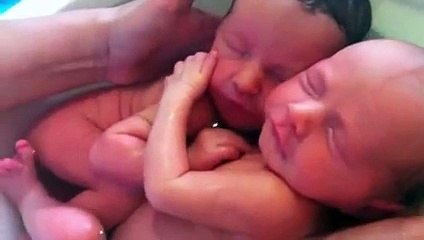 Близнецы не осознали еще что родились