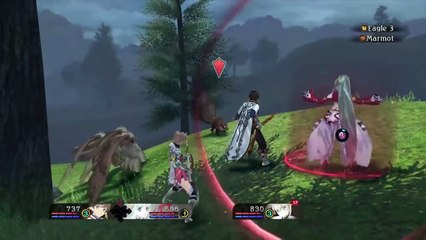 Tales of Zestiria Exclusive Pre-Order Strategy Video