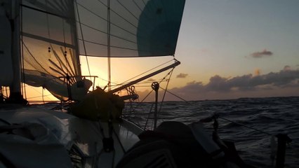 Un express pour Pointe à Pitre - Mini Transat 2015 - Etape 2