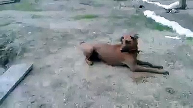 Проверка на верность.