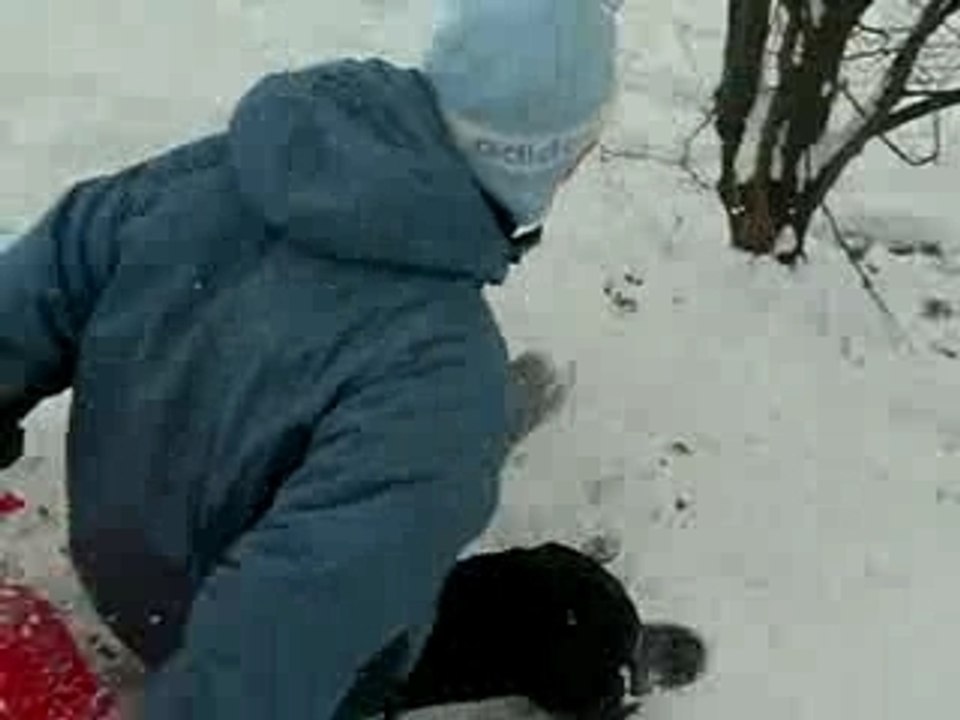 Lolo luge