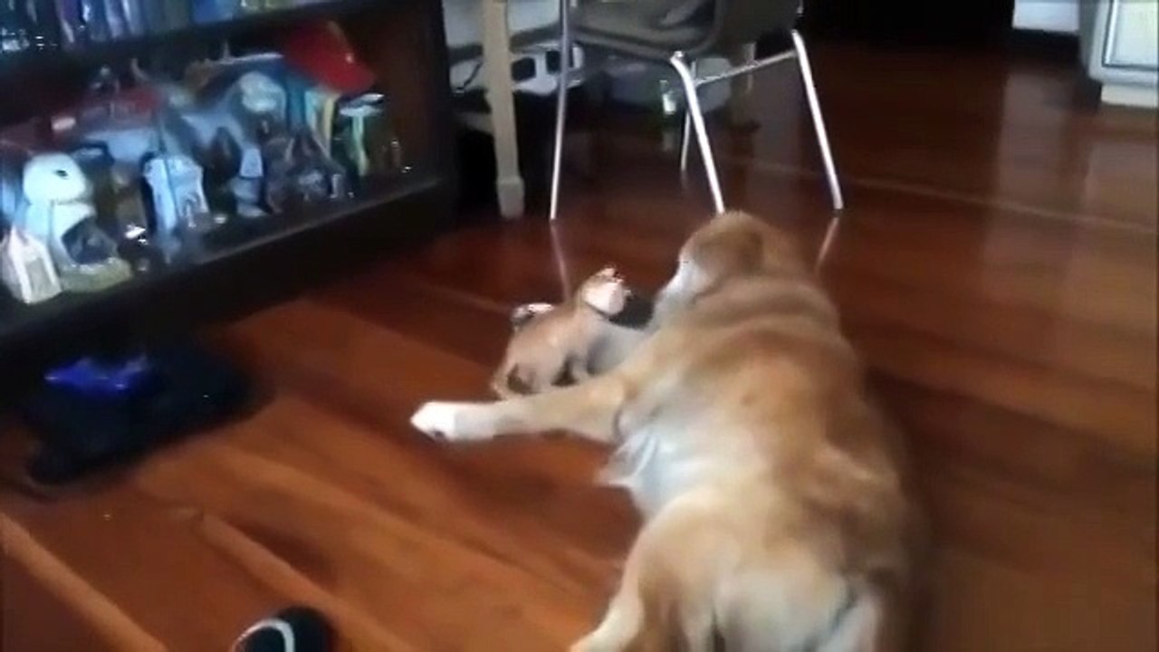 А можно ты будешь моей мамой. Трогательно до слез.