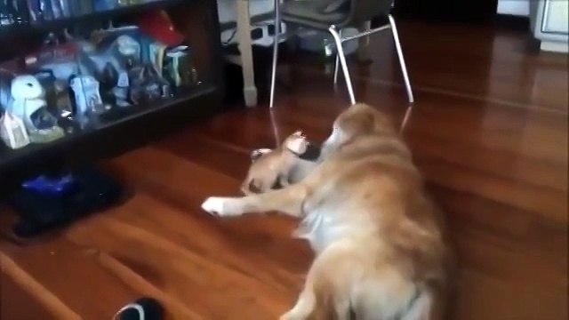 А можно ты будешь моей мамой. Трогательно до слез.