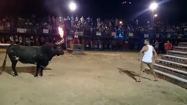 Бык обдумал удар и нанес его . Жесть!