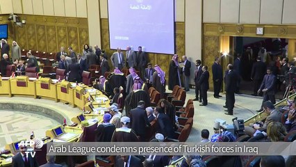 Arab League denounces Turkish troop deployment in Iraq