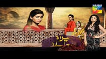 Mera Dard Na Jany Koi Episode 43 Promo HUM TV Drama 24 Dec 2015