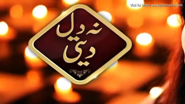 Naa Dil Deti Episode 17 Promo - Hum Sitaray Drama