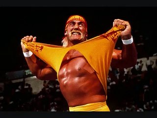 WWE FIRED Hulk Hogan Over Racist Comments!