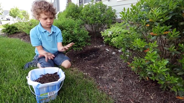 Bath Time Songs - The Bath Song - Wash Your Hands Song - Nursery Rhymes