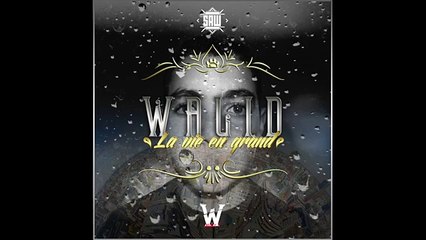 Walid - Intro (La Vie En Grand)